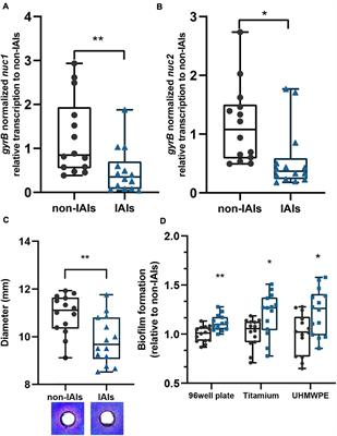 Thermonucleases Contribute to Staphylococcus aureus Biofilm Formation in Implant-Associated Infections–A Redundant and Complementary Story